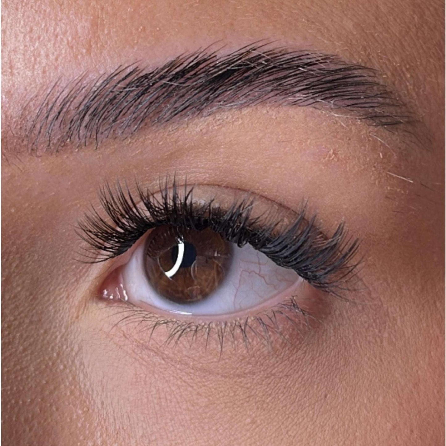 Premium Christmas Collection Limited Edition Starter Kit Lash Ribbons