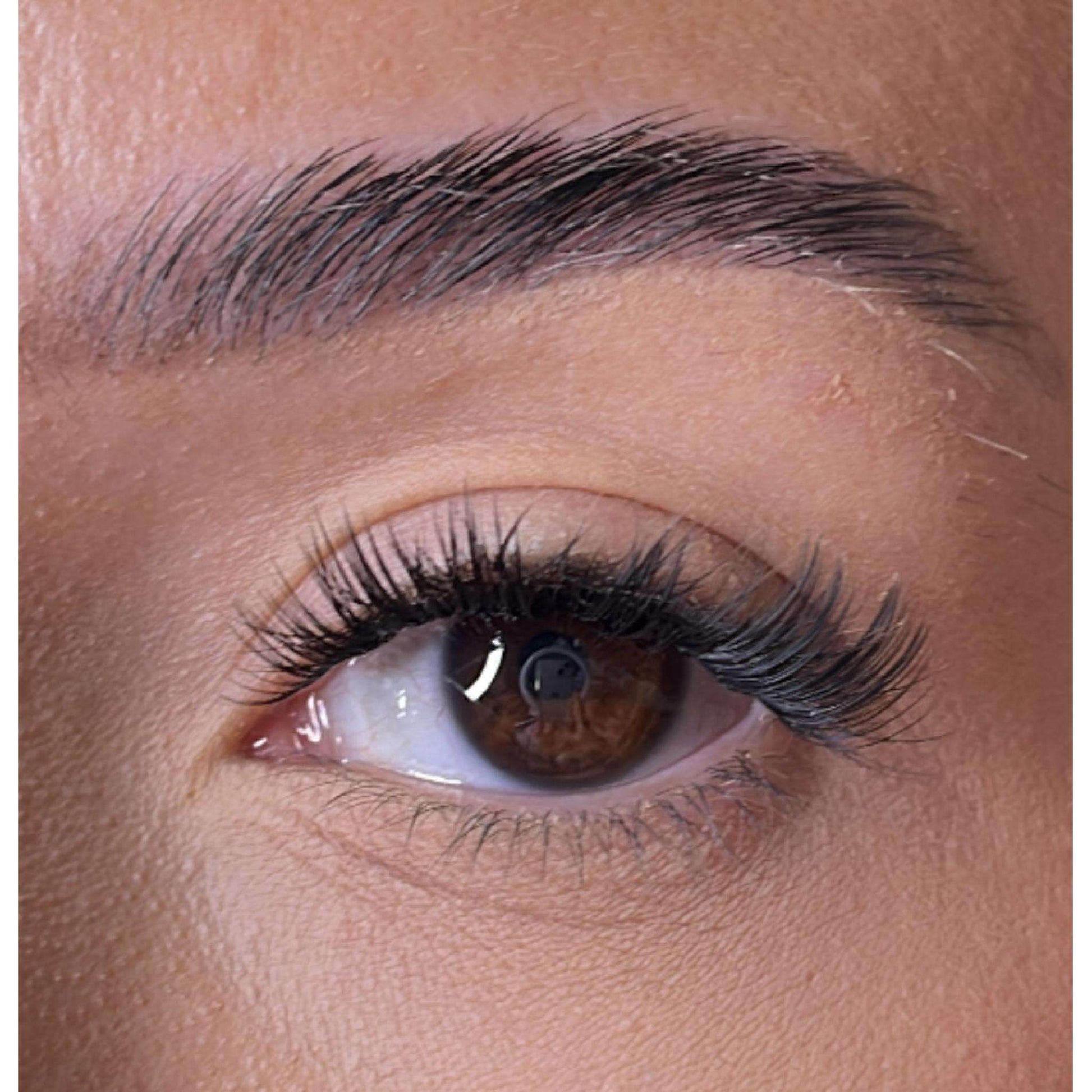 Premium Christmas Collection Limited Edition Starter Kit Lash Ribbons