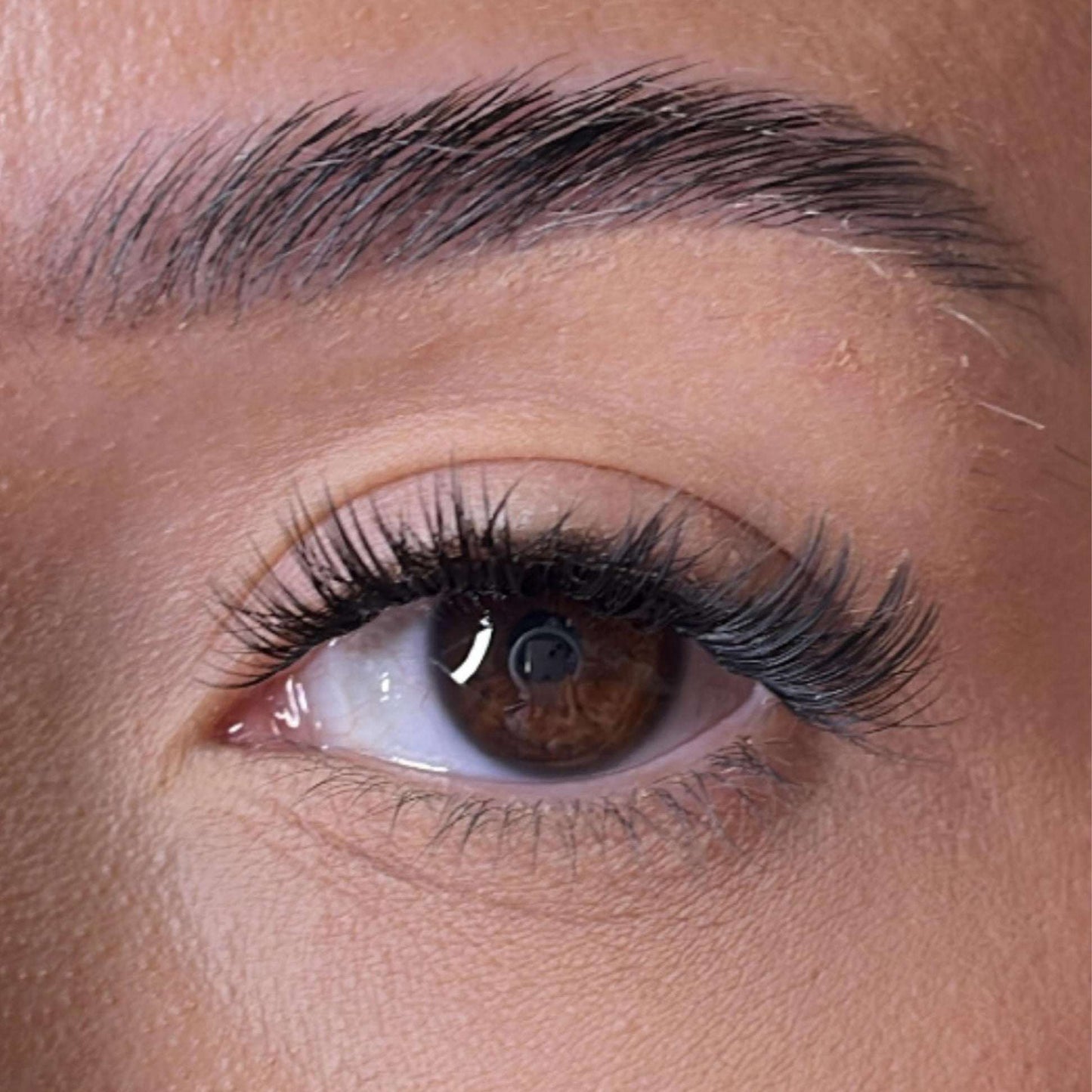 Limited Edition Collection - Mary Lash Ribbons®