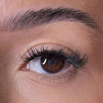 Limited Edition Collection - Mary Lash Ribbons®