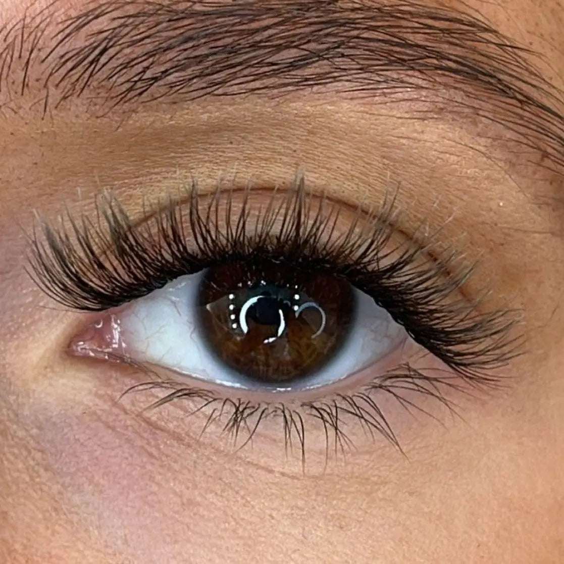 Maya - Weightless 'C' Curl Pre-Cut Lash Ribbons® Lash Ribbons
