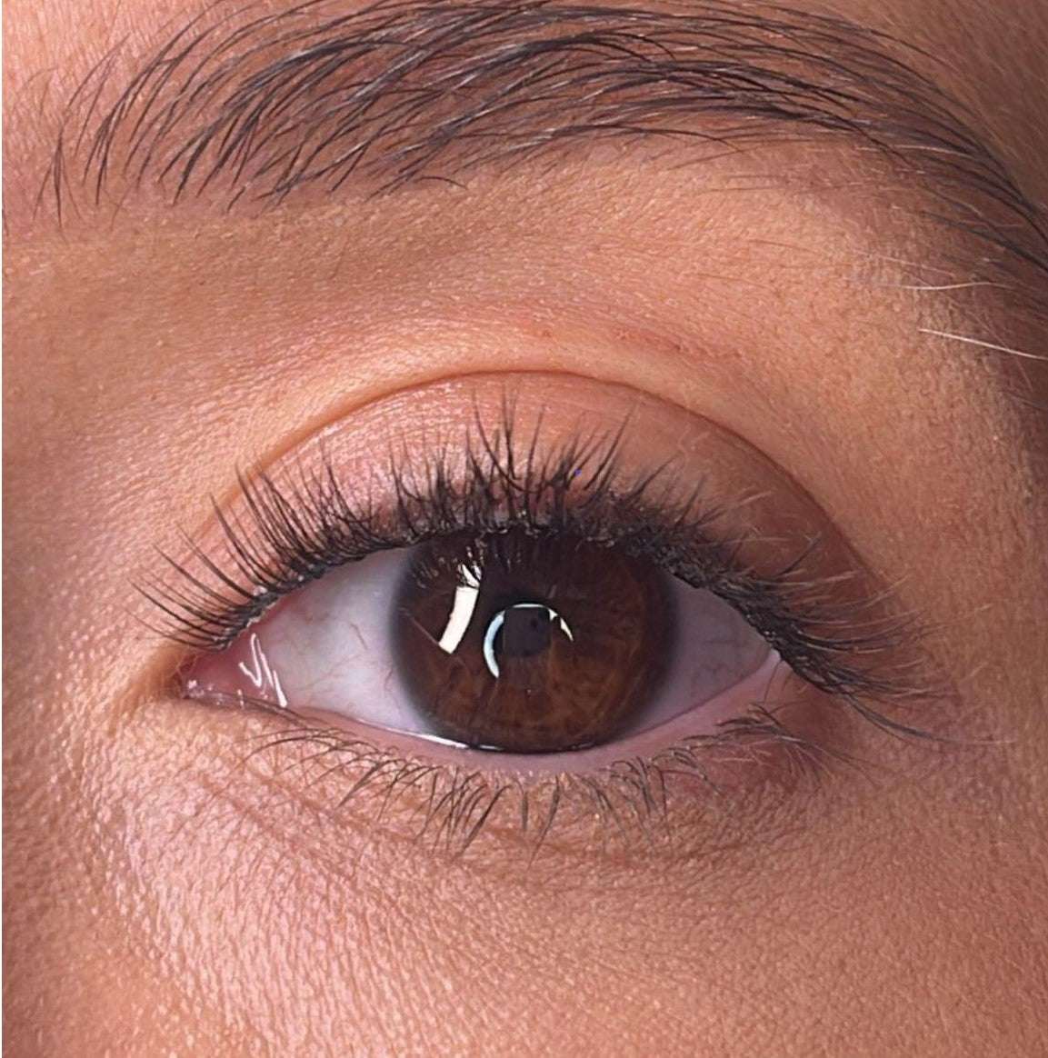 Morina Pre Styled Lash Ribbons® Lash Ribbons®