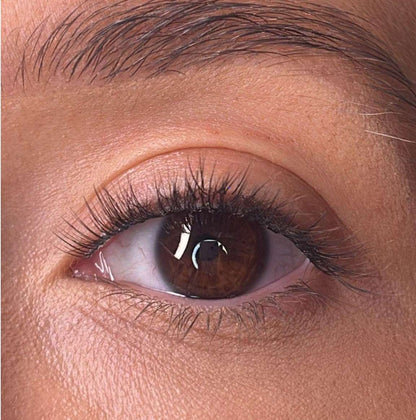 Morina Pre Styled Lash Ribbons® Lash Ribbons®