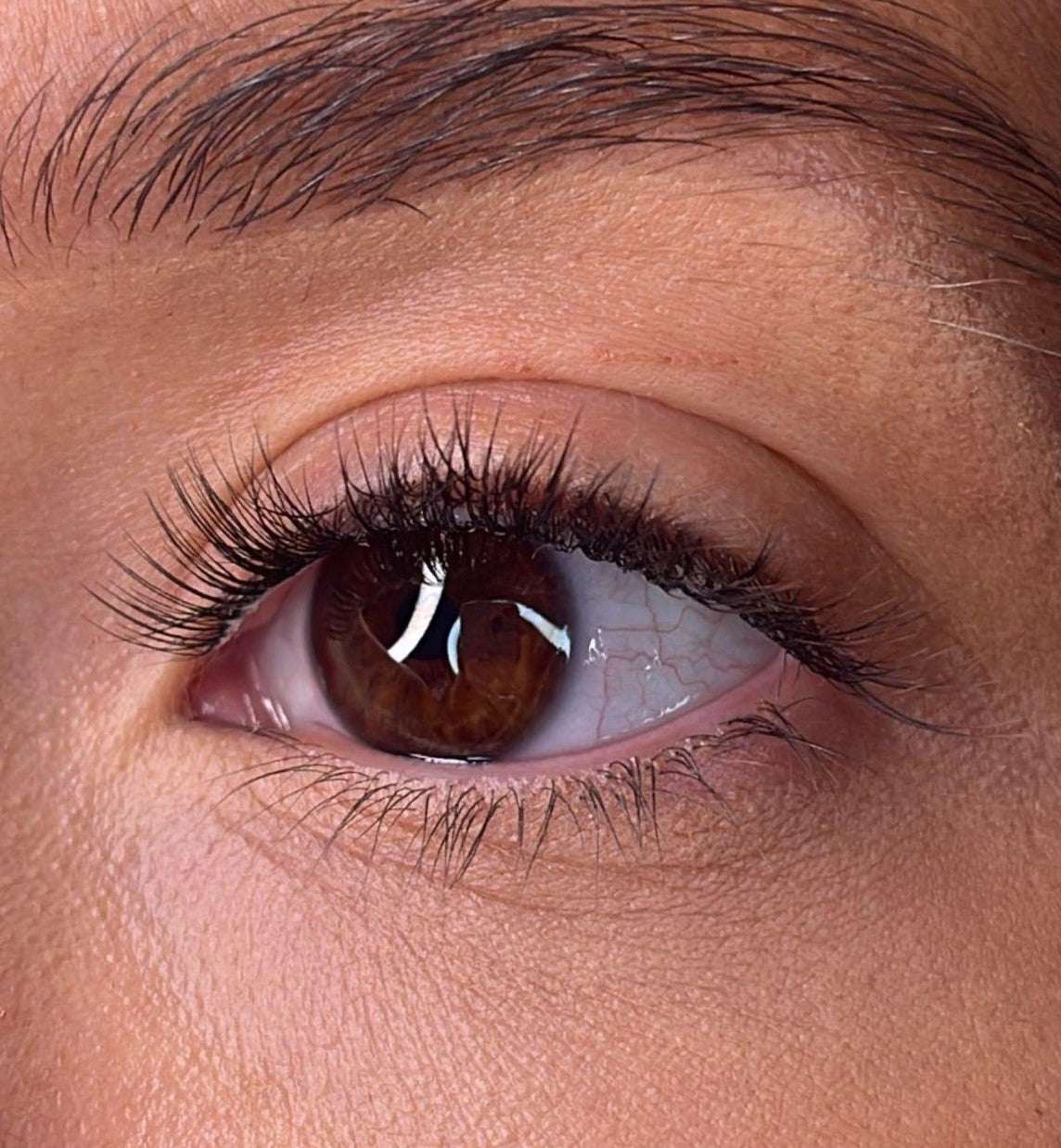 Morina Pre Styled Lash Ribbons® Lash Ribbons®