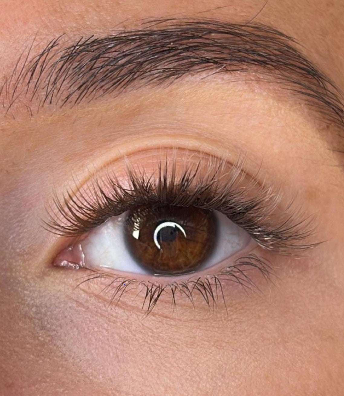 Niamh - 3D 'D' Curl Brown Lash Ribbons® Lash Ribbons