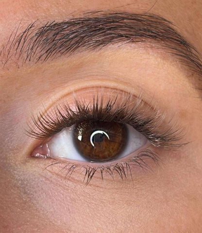 Niamh - 3D 'D' Curl Brown Lash Ribbons® Lash Ribbons