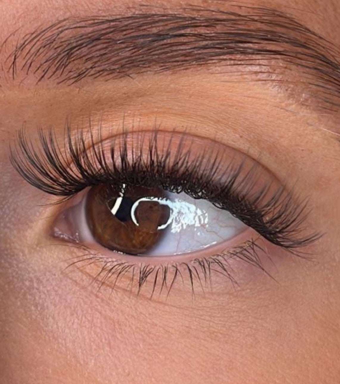 Niamh - 3D 'D' Curl Lash Ribbons® Lash Ribbons®