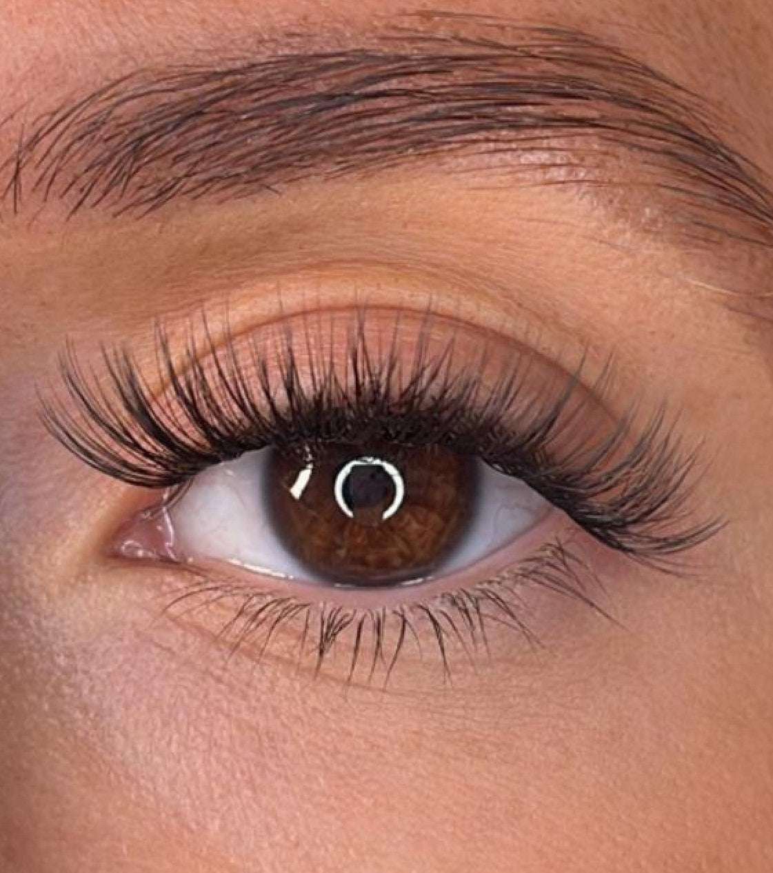 Niamh - 3D 'D' Curl Lash Ribbons® Lash Ribbons®