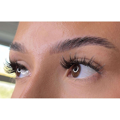 Weightless Multi-Length - Nola Lash Ribbons®