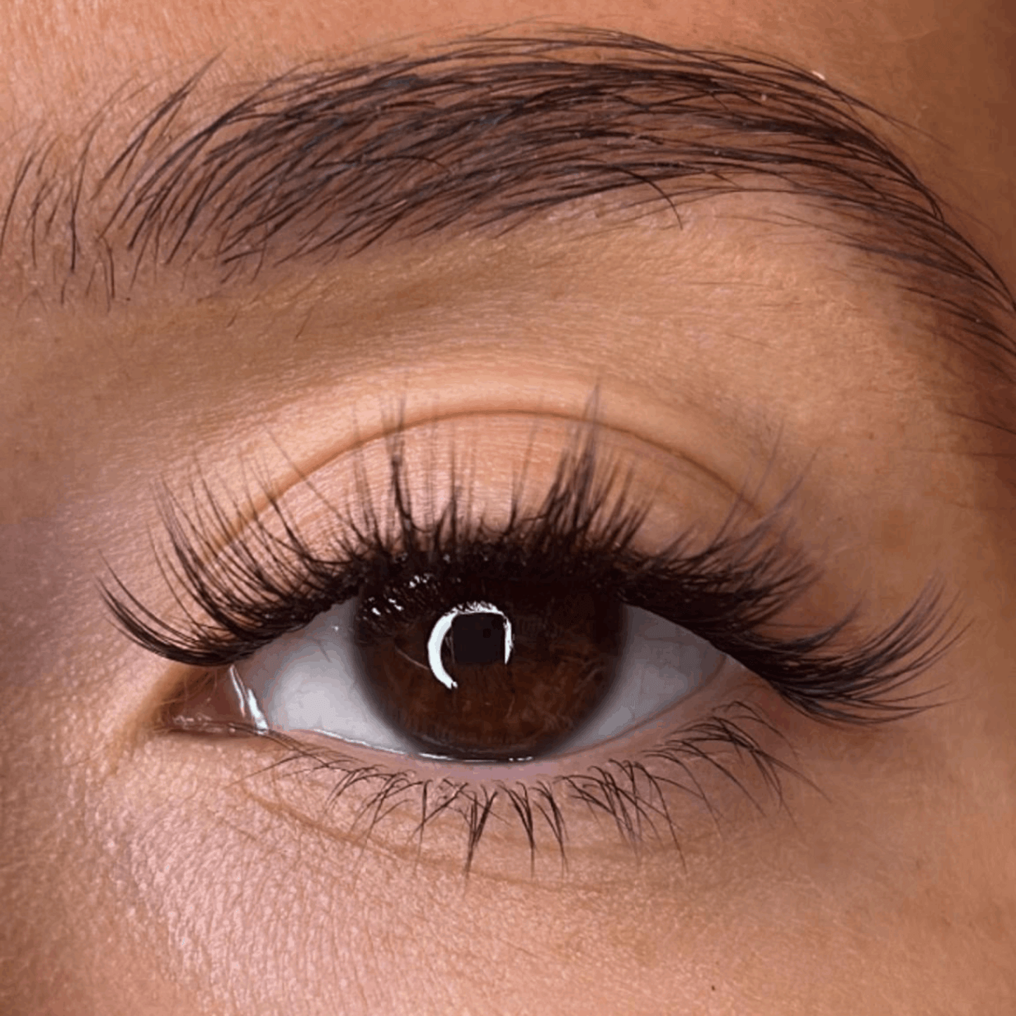 Olive - 3D 'D' Curl Lash Ribbons® Lash Ribbons®