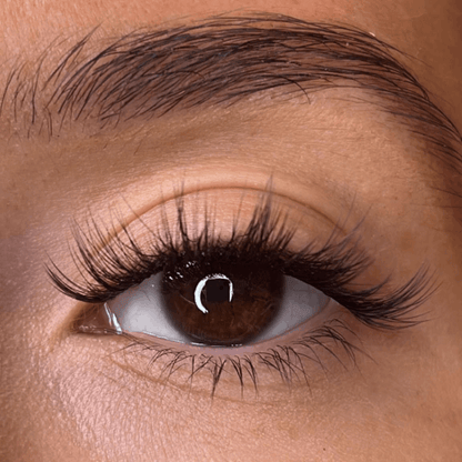 Olive - 3D 'D' Curl Lash Ribbons® Lash Ribbons®