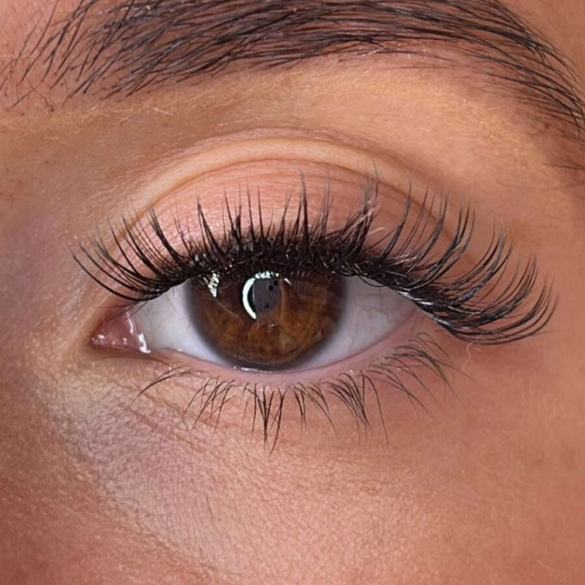 Oran Lash Ribbons® Collections Lash Ribbons®