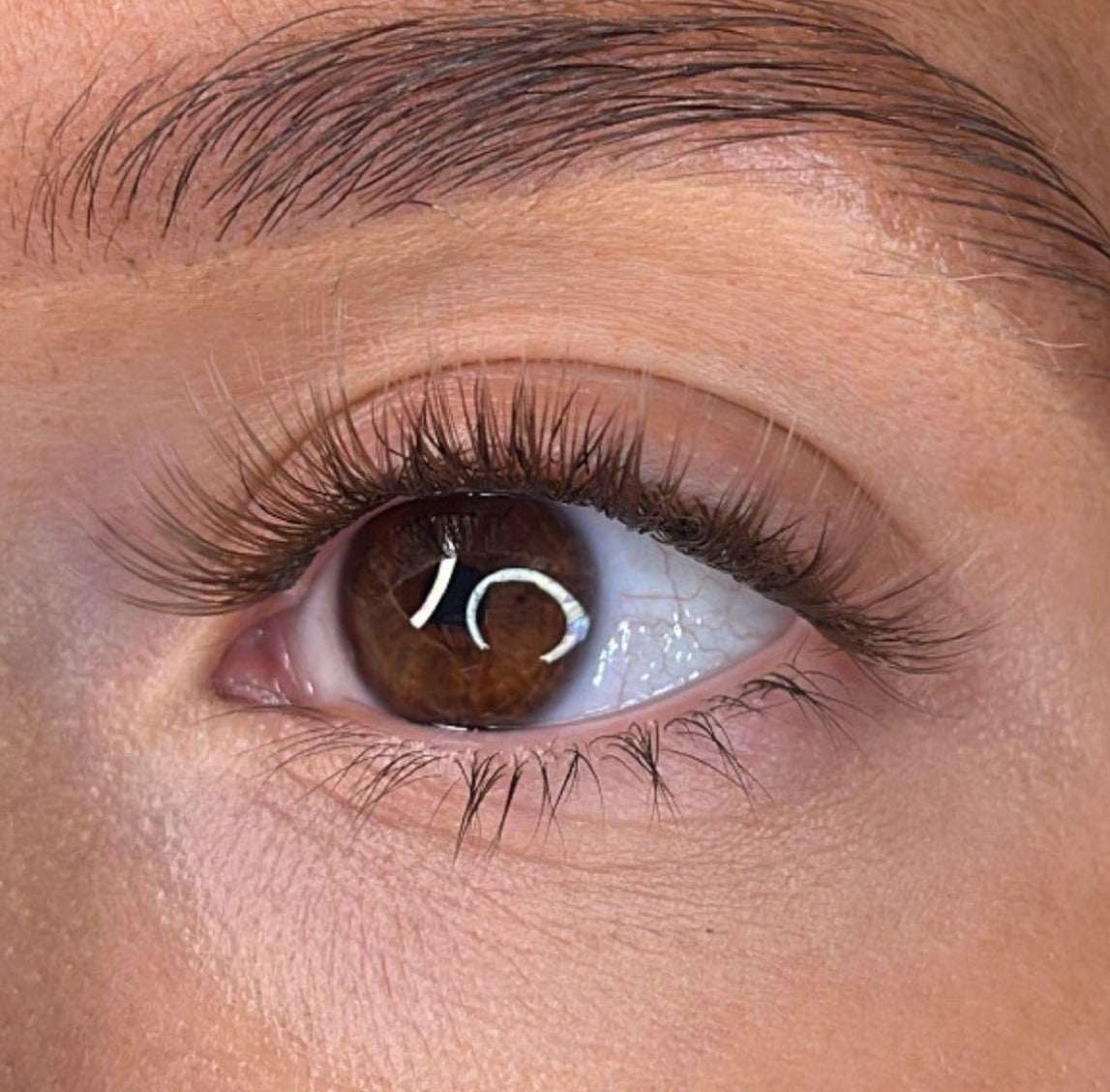 Orla - 'C' Curl Brown Lash Ribbons® Lash Ribbons
