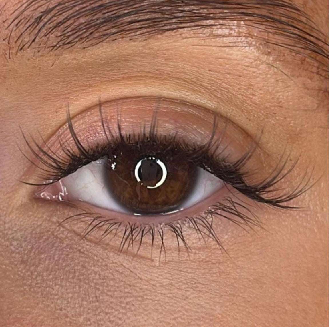 Riona - 3D 'D' Curl Lash Ribbons® Lash Ribbons®
