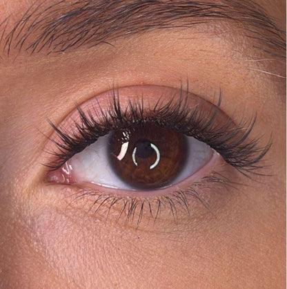Roisin Pre Styled Lash Ribbons® Lash Ribbons®