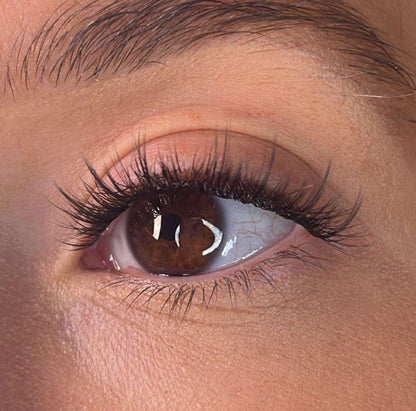 Roisin Pre Styled Lash Ribbons® Lash Ribbons®