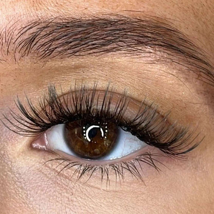 Rose - Weightless 'C' Curl Pre-Cut Lash Ribbons® Lash Ribbons