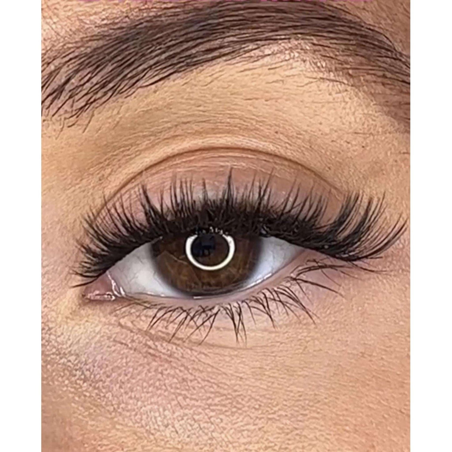 Shayla Pre Styled Lash Ribbons® Lash Ribbons®