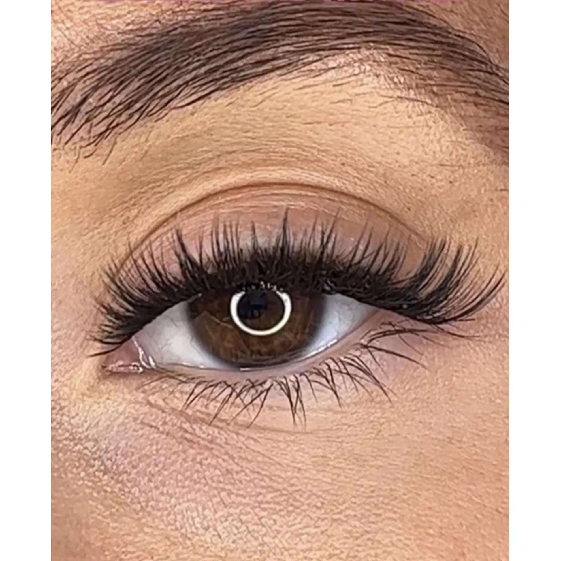 Shayla Pre Styled Lash Ribbons® Lash Ribbons®