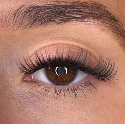 Sina Lash Ribbons® Collections Lash Ribbons®