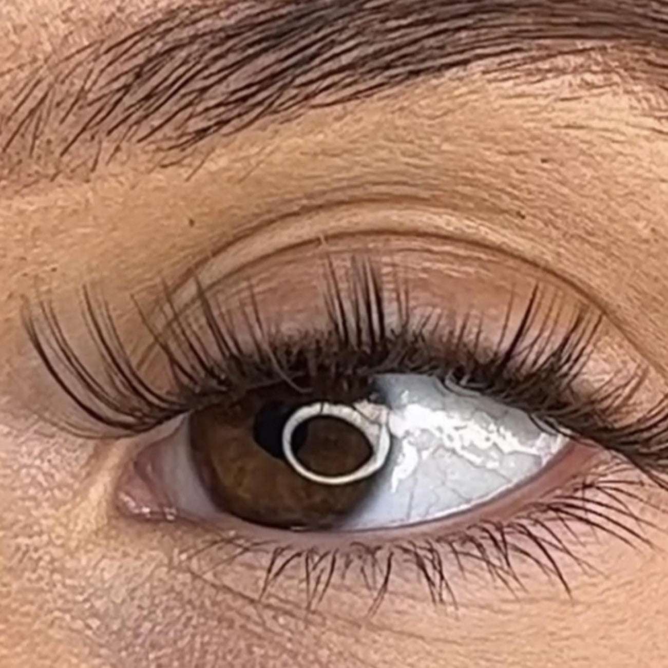 Tegan - 3D Black/Brown 'C' Curl Lash Ribbons® Lash Ribbons