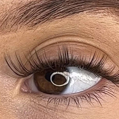 Tegan - 3D Black/Brown 'C' Curl Lash Ribbons® Lash Ribbons