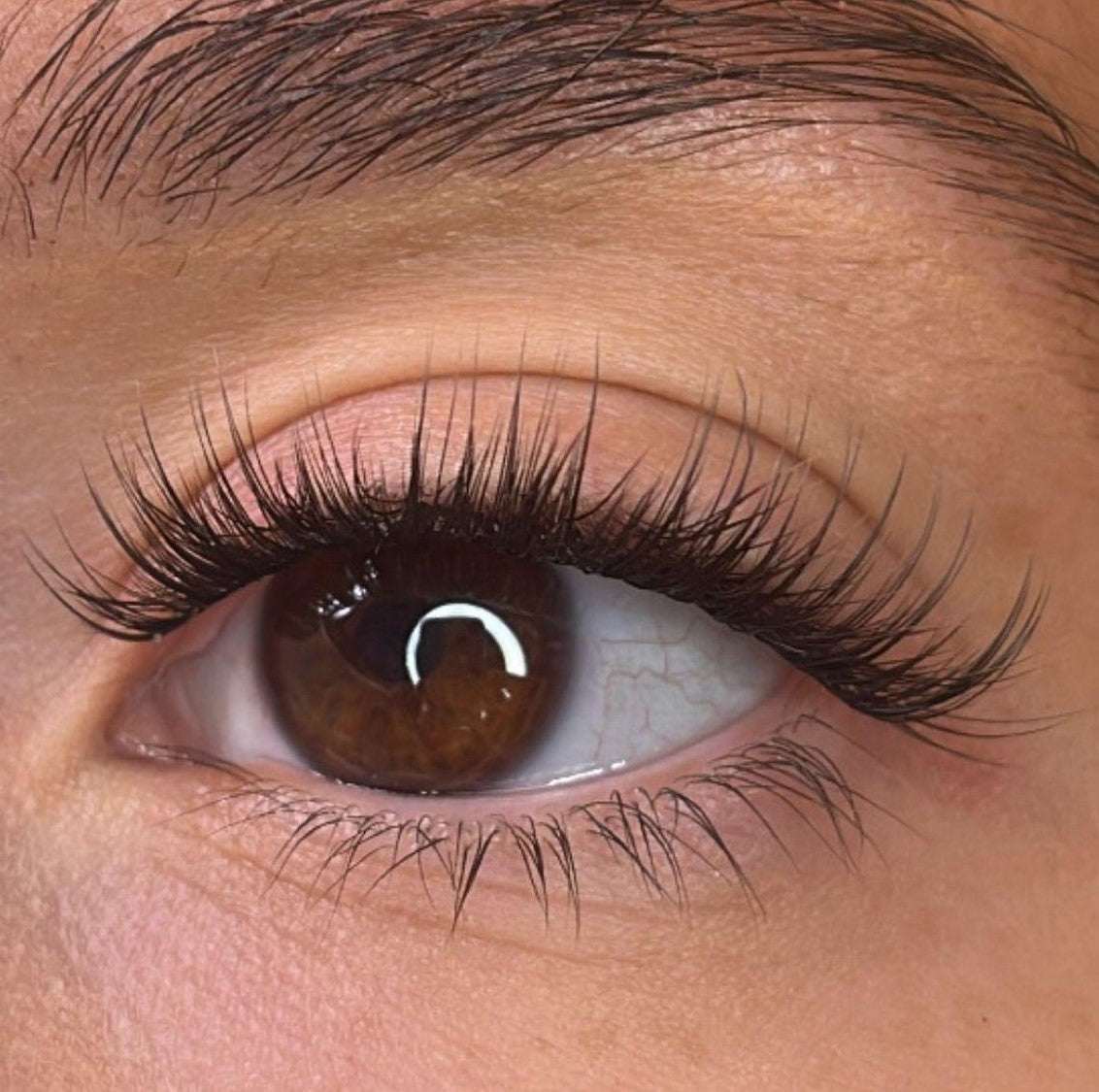 Trista Pre Styled Lash Ribbons® Lash Ribbons®