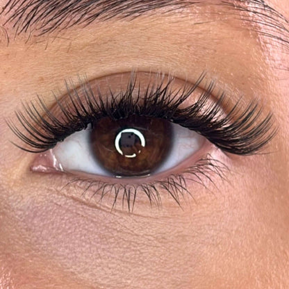Lash Ribbons® Exclusive Lash Christmas Trees Lash Ribbons®