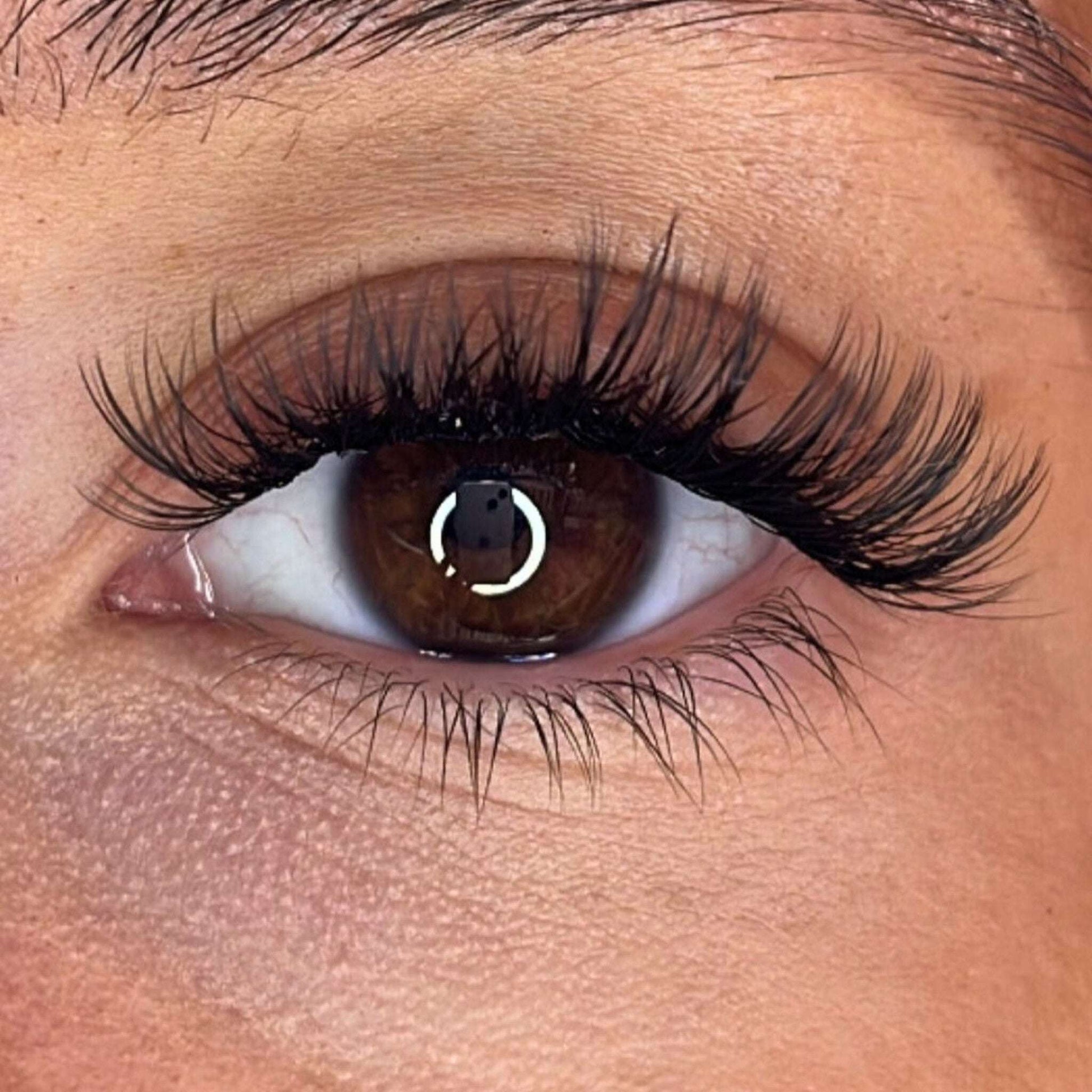 Lash Ribbons® Exclusive Lash Christmas Trees Lash Ribbons®