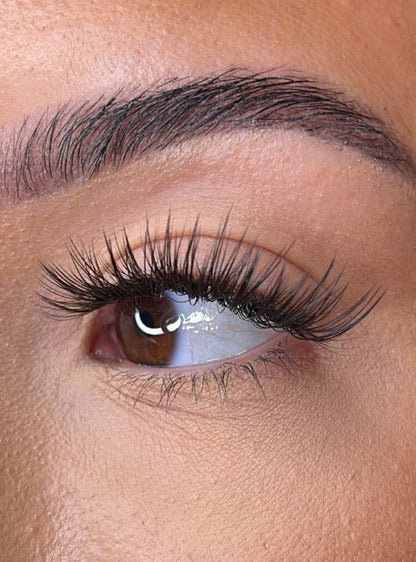 Quinn Pre Styled Lash Ribbons® Lash Ribbons®