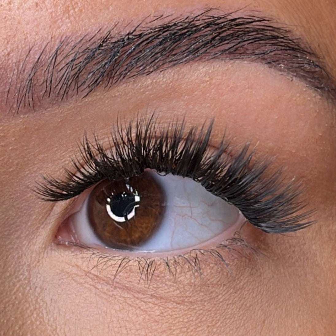 Regan Pre Styled Lash Ribbons® Lash Ribbons®