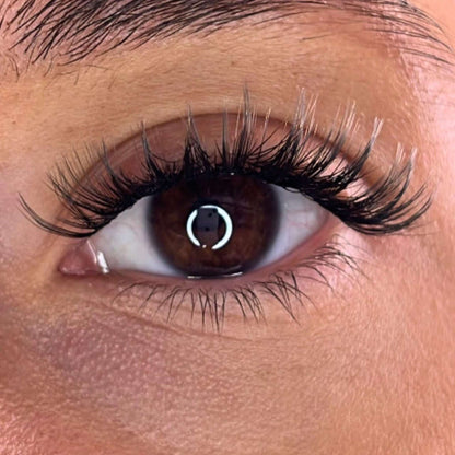 Lash Ribbons® Exclusive Lash Christmas Trees Lash Ribbons®