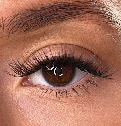 Moira - 3D 'D' Curl Lash Ribbons® Lash Ribbons®