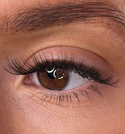 Moira - 3D 'D' Curl Lash Ribbons® Lash Ribbons®