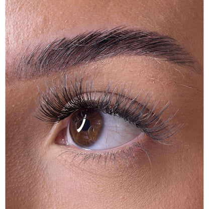 Weightless Multi-Length - Shae Lash Ribbons®